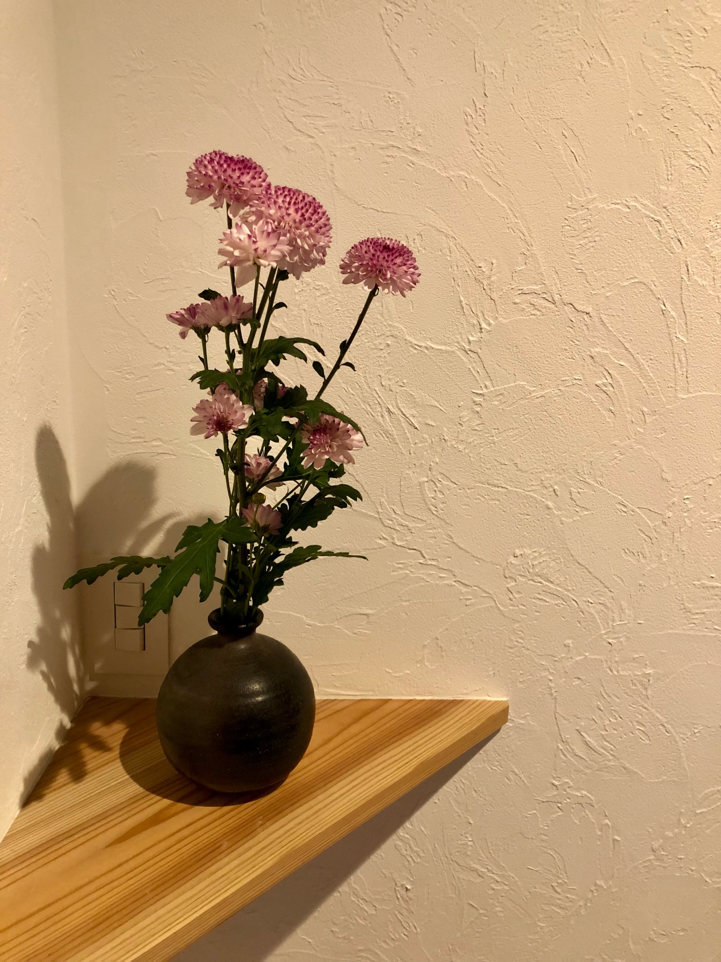 玄関のコーナースペースに
さりげなく小さなカウンターを。
お気に入りの小物やお花を飾れる場所に。

ちょっとしたことですが
毎日の気分を少し上げれくれる提案を心がけています。

#チルチンびと 
#さとやま工房 
#さとやま設計社 
#自然素材 
#丁寧な暮らし